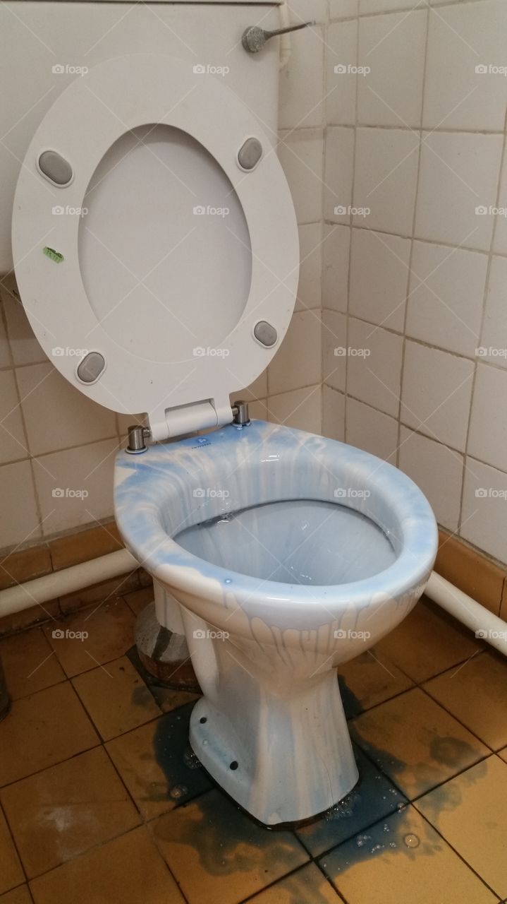 extreme toliet cleaning