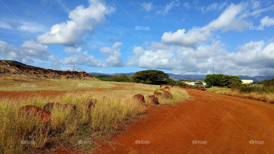 Hiking trails red dirt