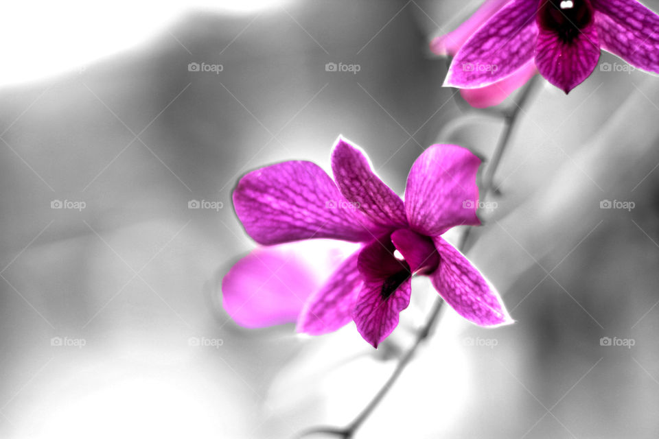 enjoy life enjoying every inch of color universe ..

HAVE A GOOD SATURDAY NIGHT