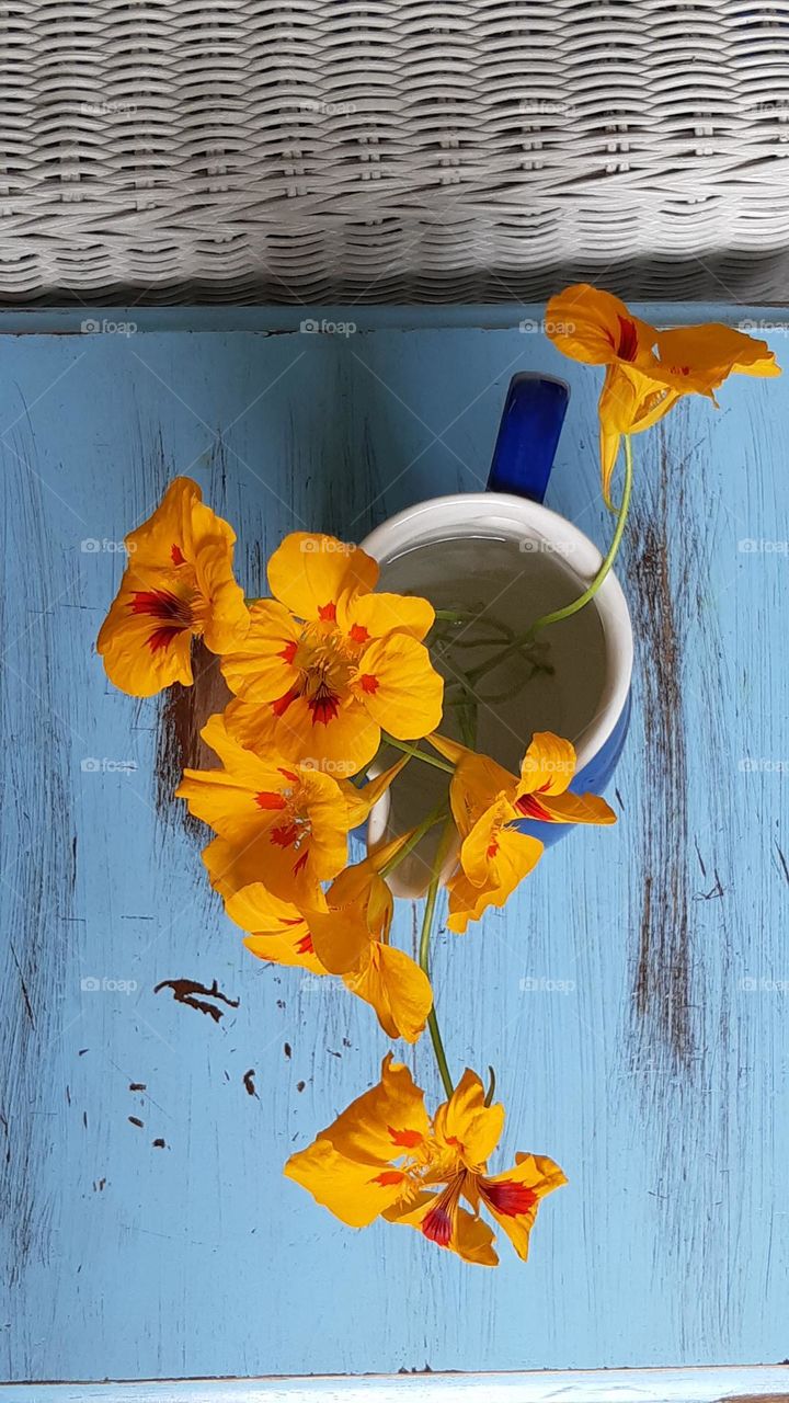blue table with yellow and orange flowers of nasturtium, fliwers possible to eat