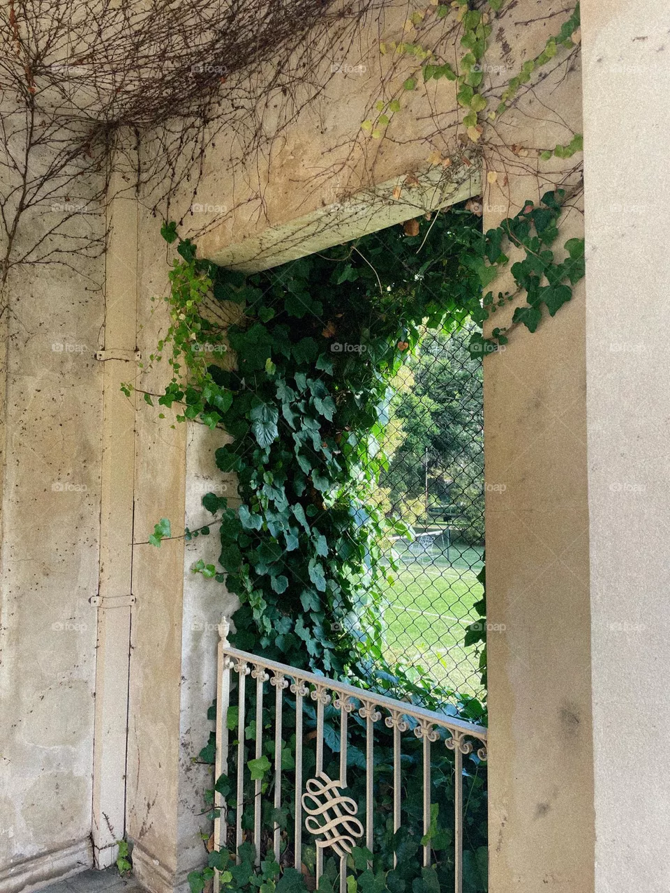 Overgrown plants peeping through a private tennis court 