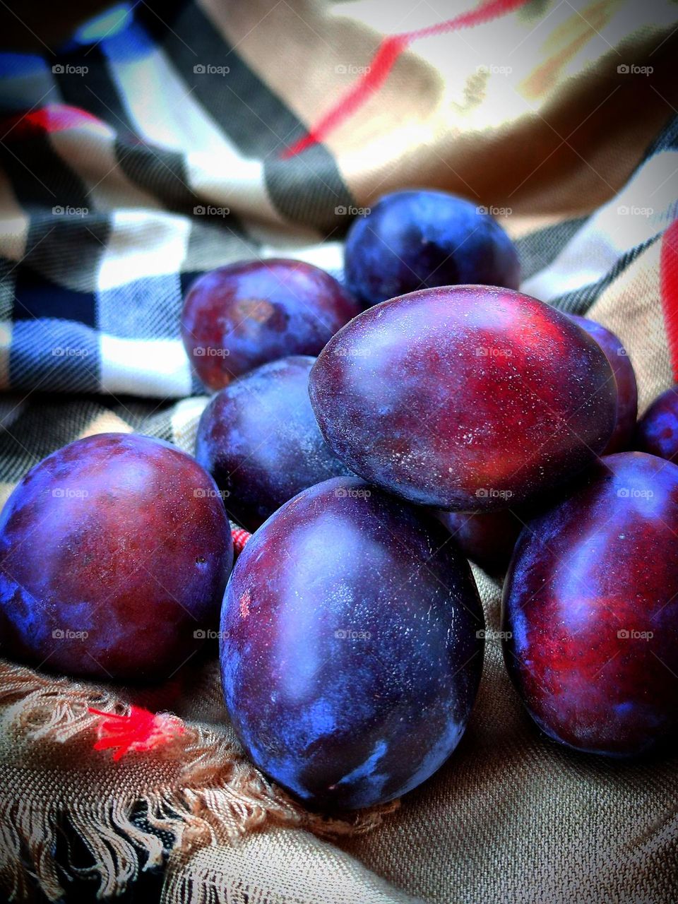 Purple plum on a checkered scarf. Delicious purple