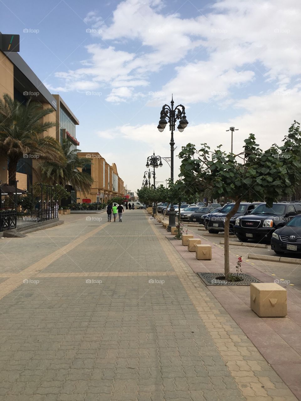 Riyadh 
Saudi Arabia 
Street 
Tahlia street 
Walking