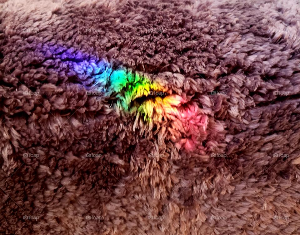 Morning rainbow on my carpet