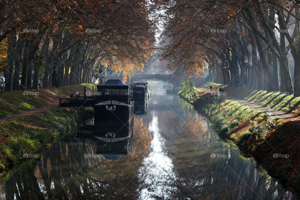 Canal de Brienne Automne
