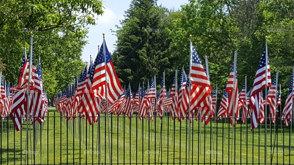 Memorial Flags
