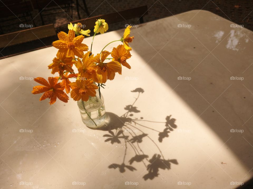 Lights and shadow of flowers.