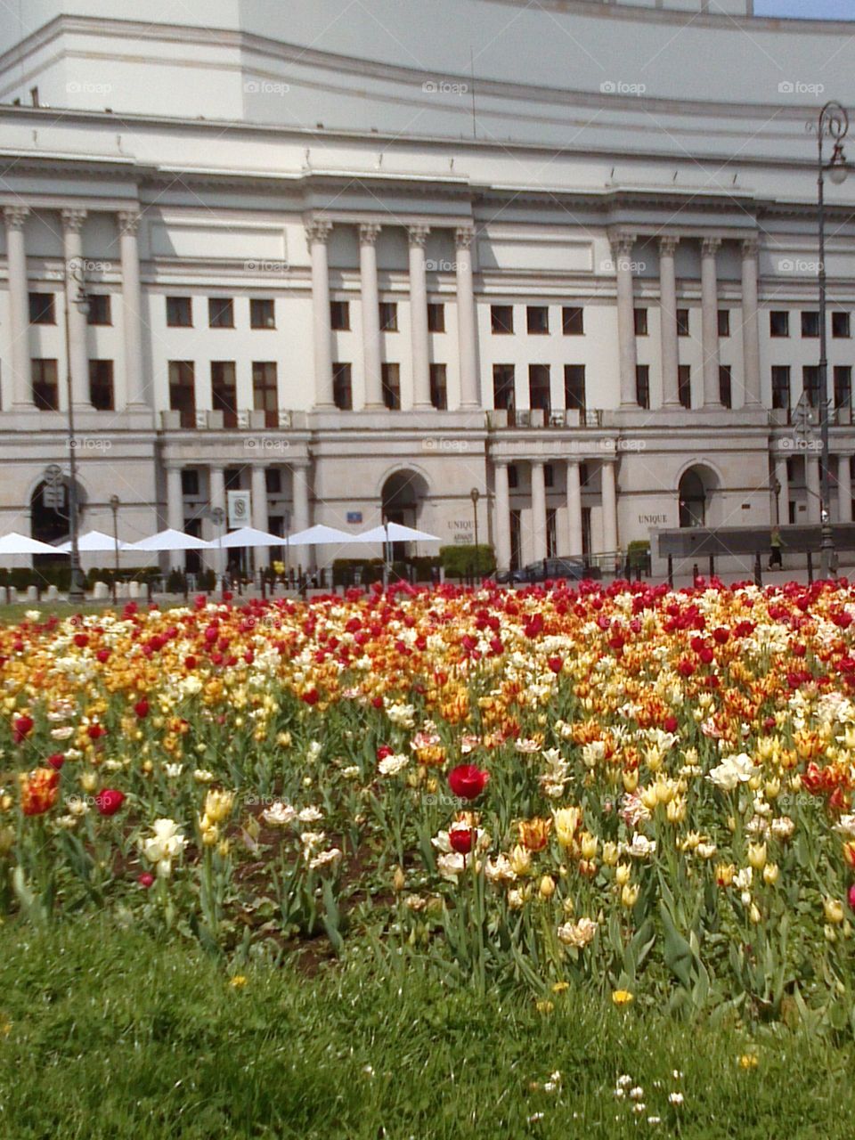 opera house