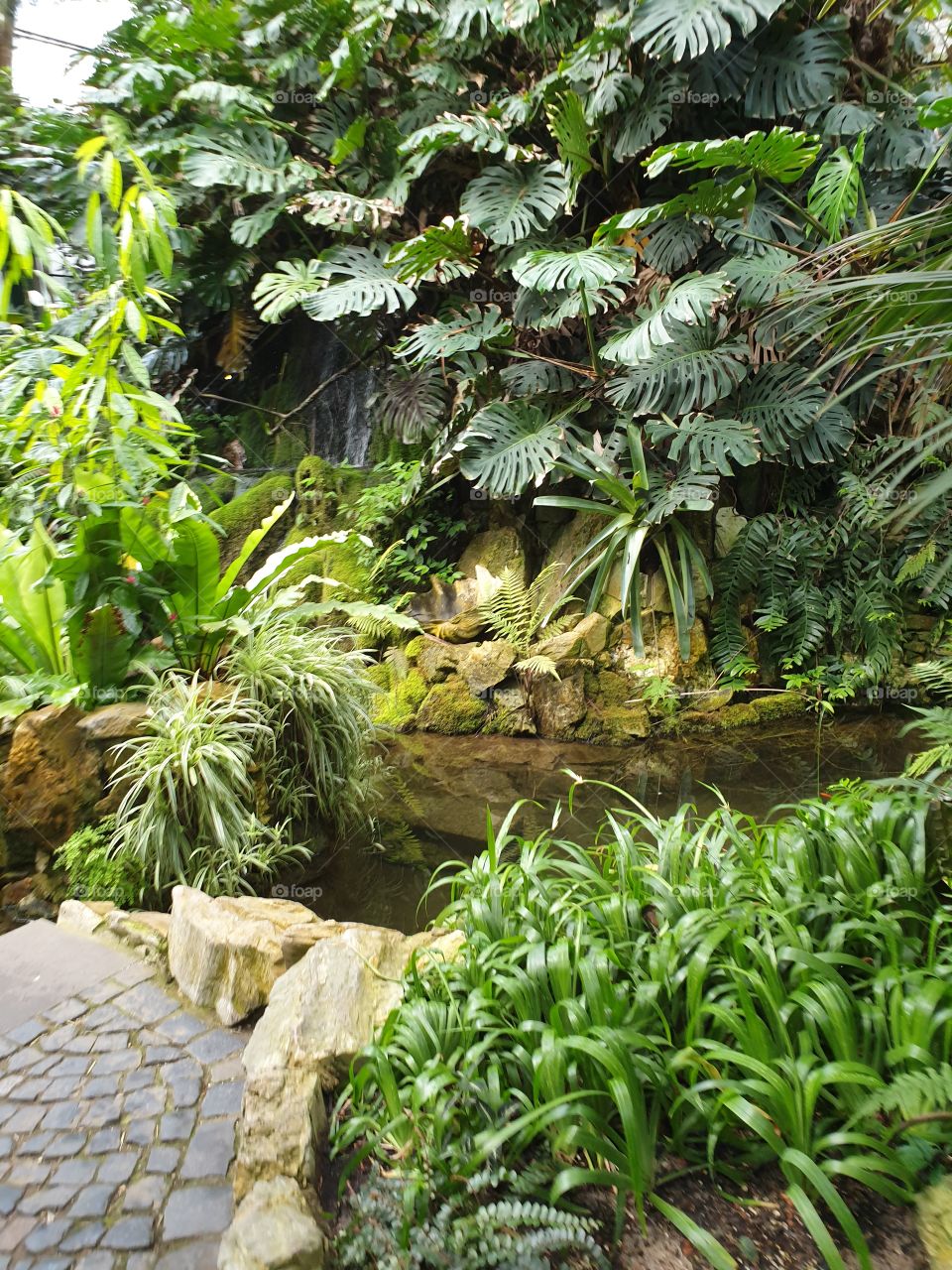 Palmengarten Frankfurt