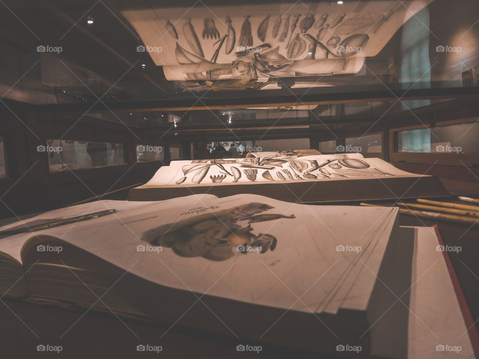 Reading gives us someplace to go when we have to stay where are we.