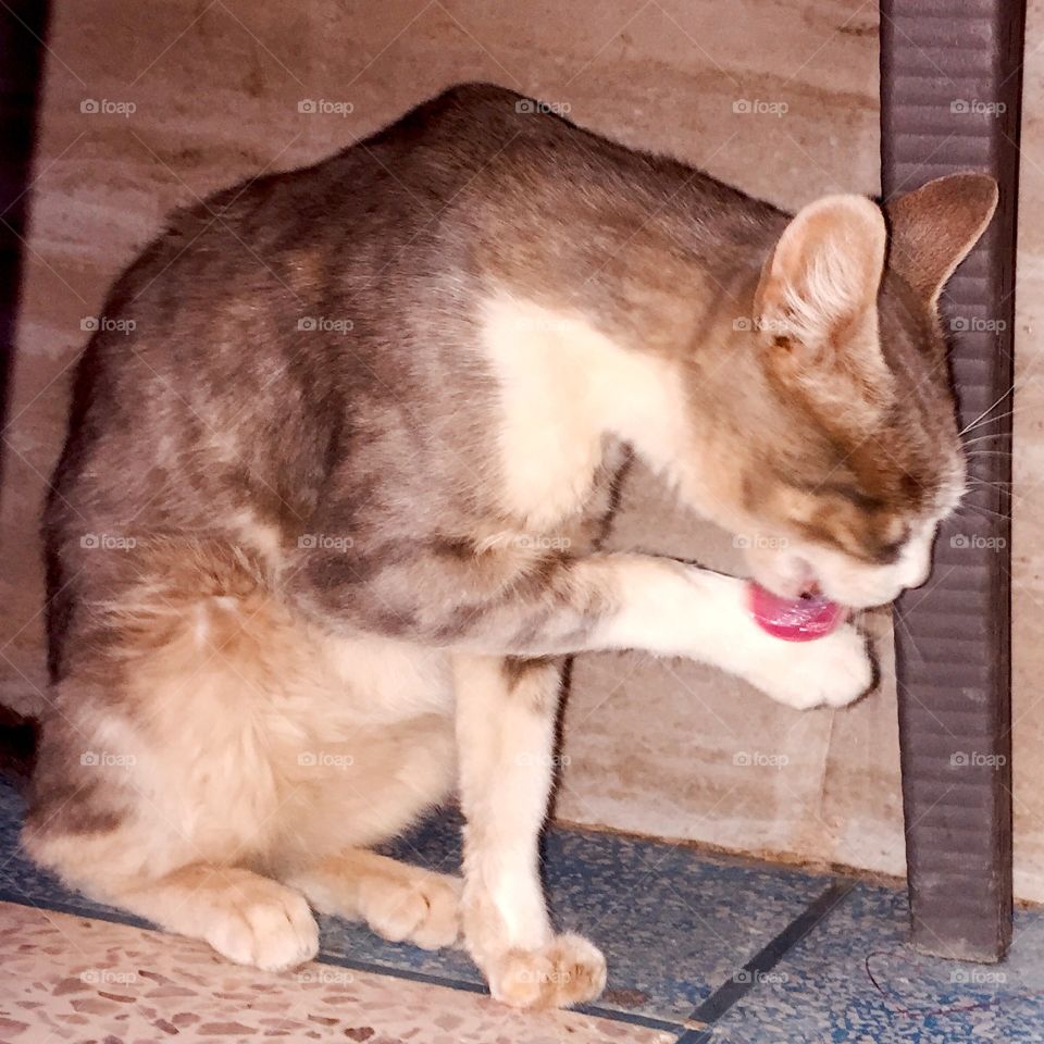 A cut after his lunch 