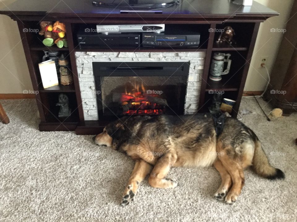 Sleeping by the fireplace 