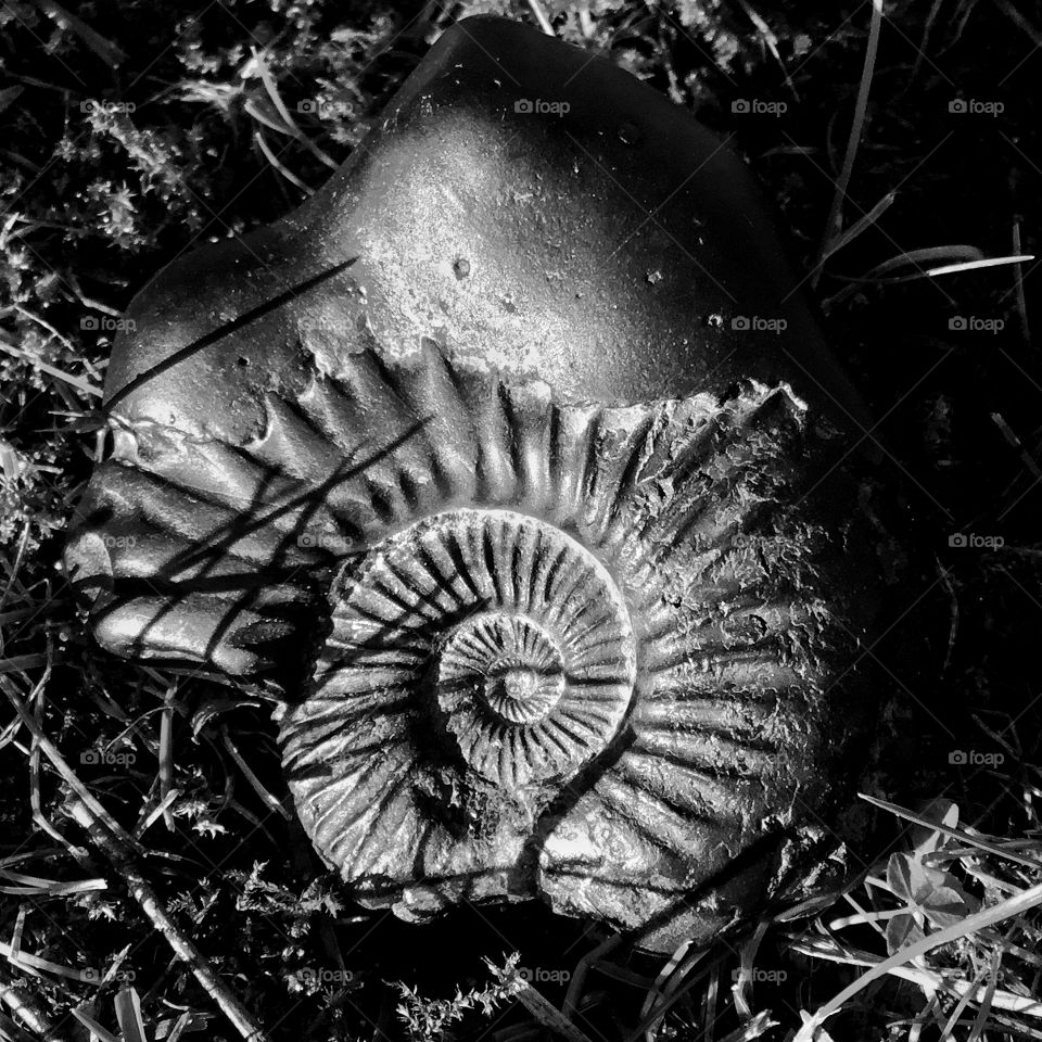 Plenty of different angels ,identified as the thinker...being in your head all the time...point of consciousness acknowledged ..thinking happens to us