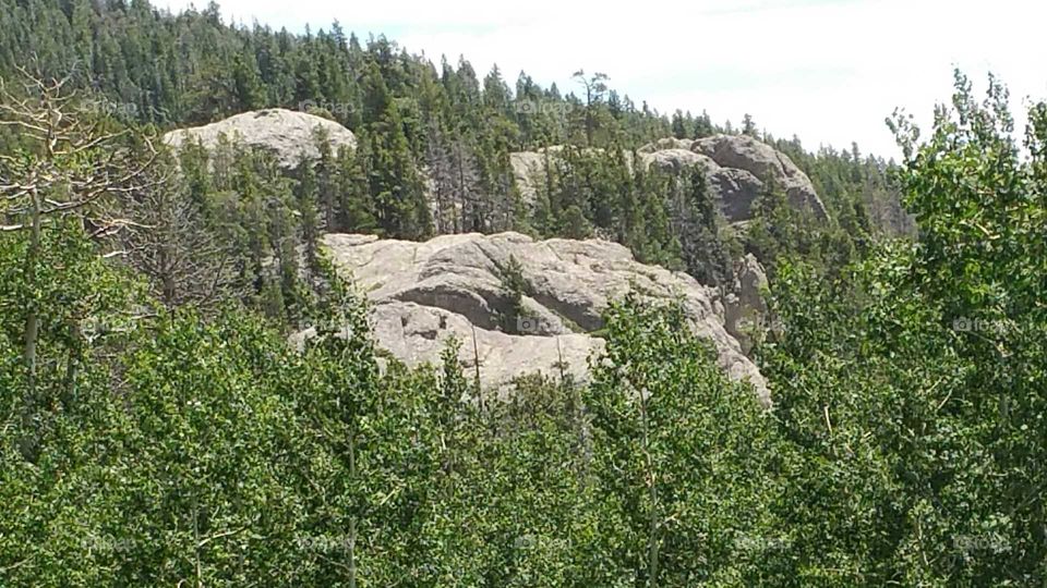 Boulders & trees