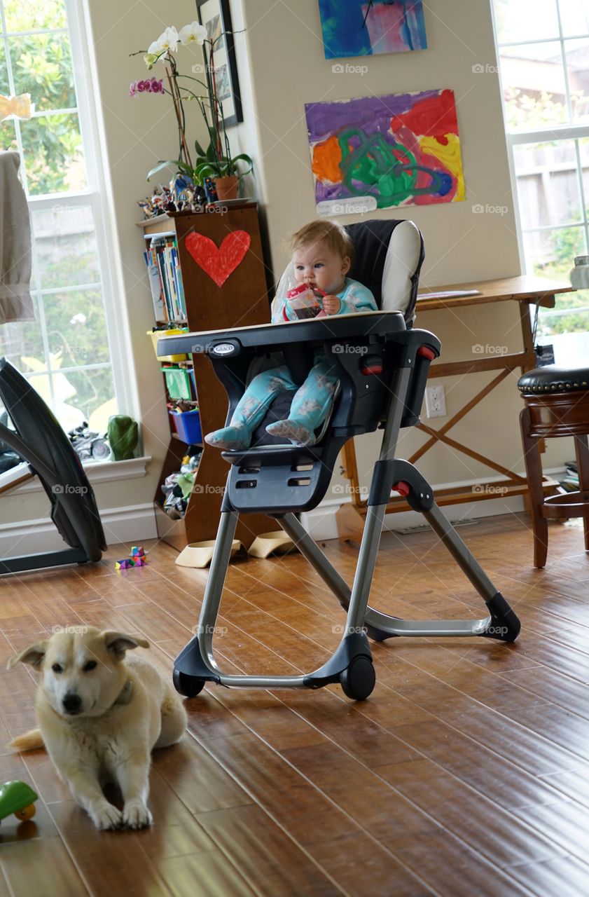 Baby Eating In A Highchair