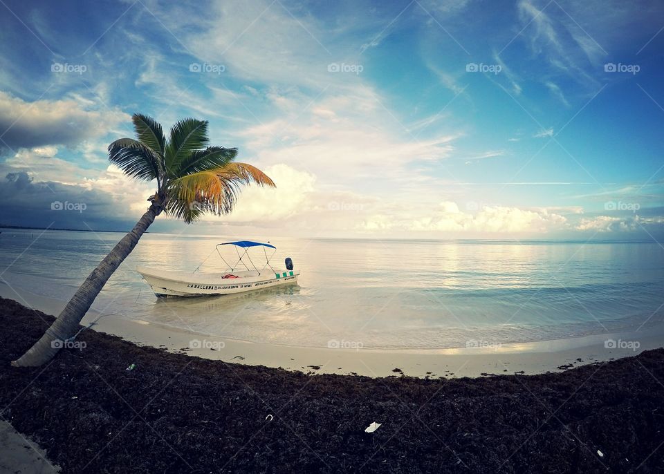 boat and isolated palm tree from caribbean sea - Mexico