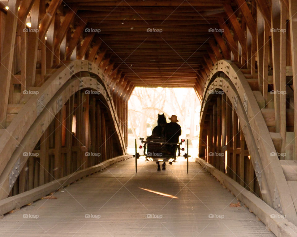 Amish buggy. Young Amish man in covered Bridge