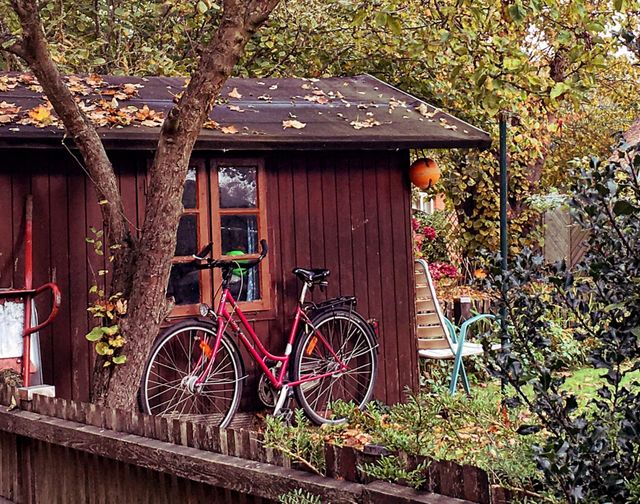 Wooden garden hut