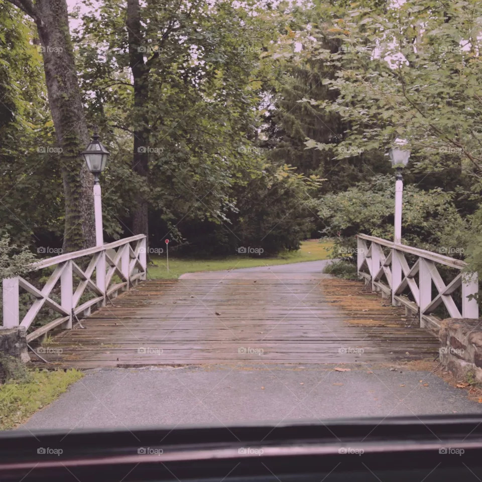 Wood, Bridge, Tree, Guidance, Park
