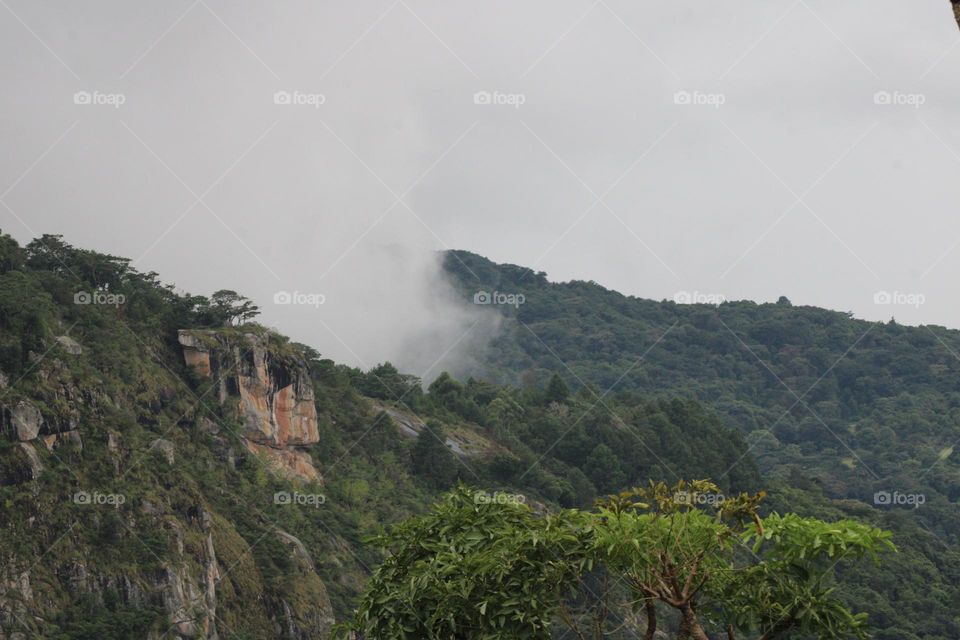 Misty afternoons in the Bvumba Mountains 