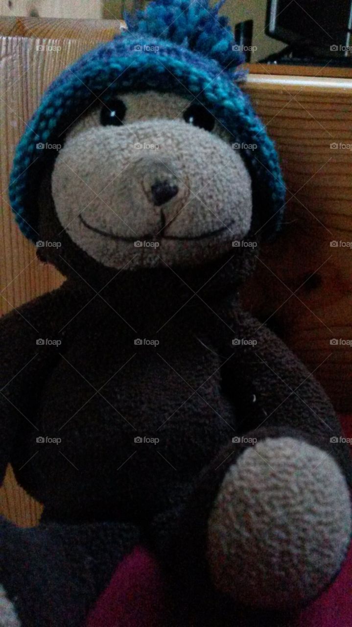 The name of this monkey is None