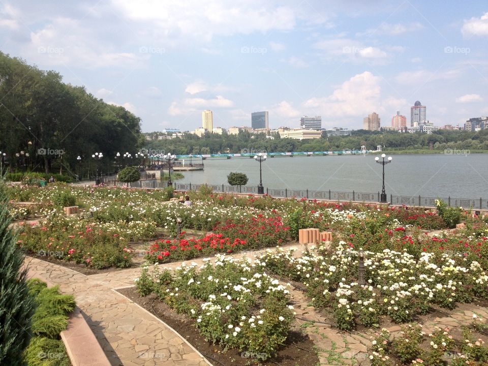 Flowerbeds on a quay 