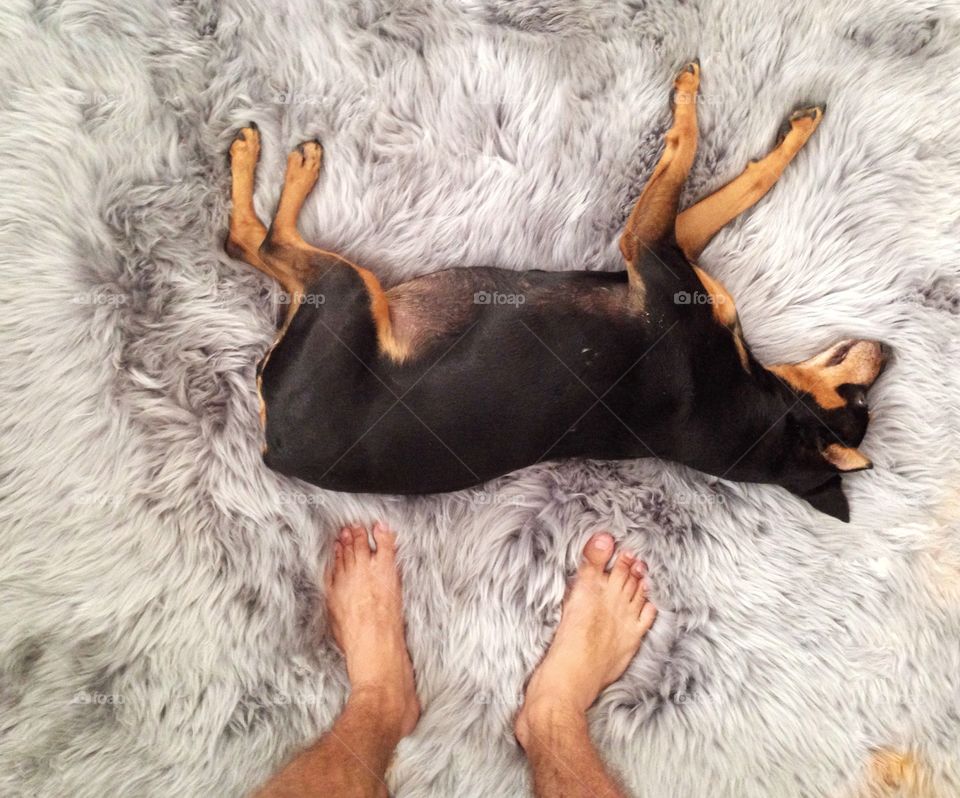 She loves this carpet 