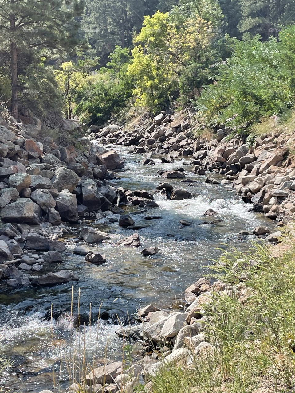 Mountain Stream