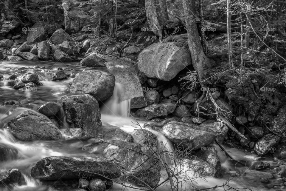 Another beautiful soft silky smooth water flow through the creek but in black and white.