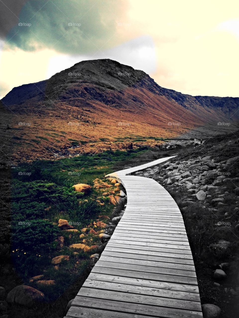 Boardwalk near mountain