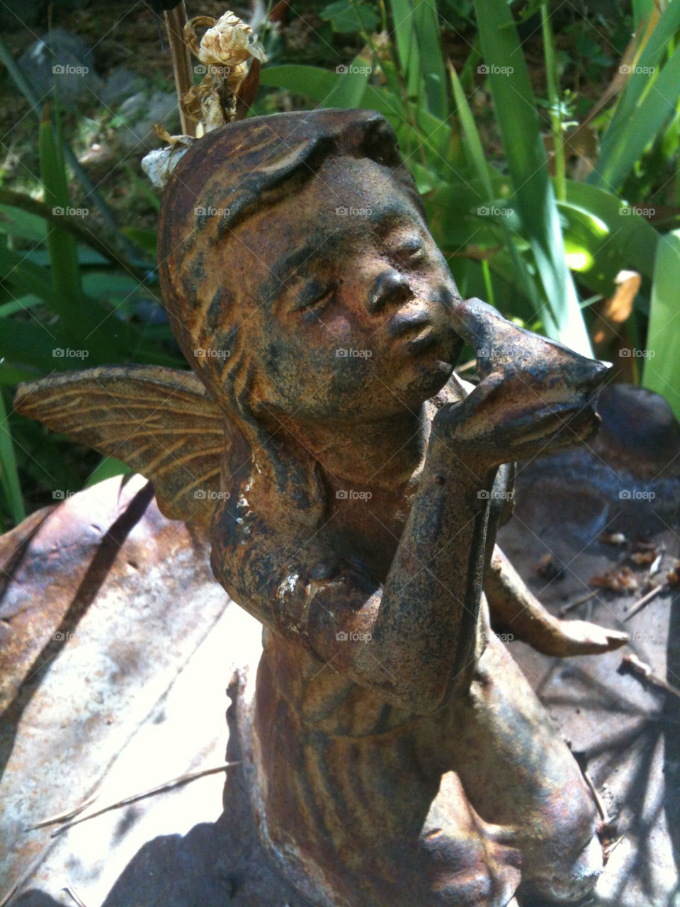 garden angel wings kiss by melody