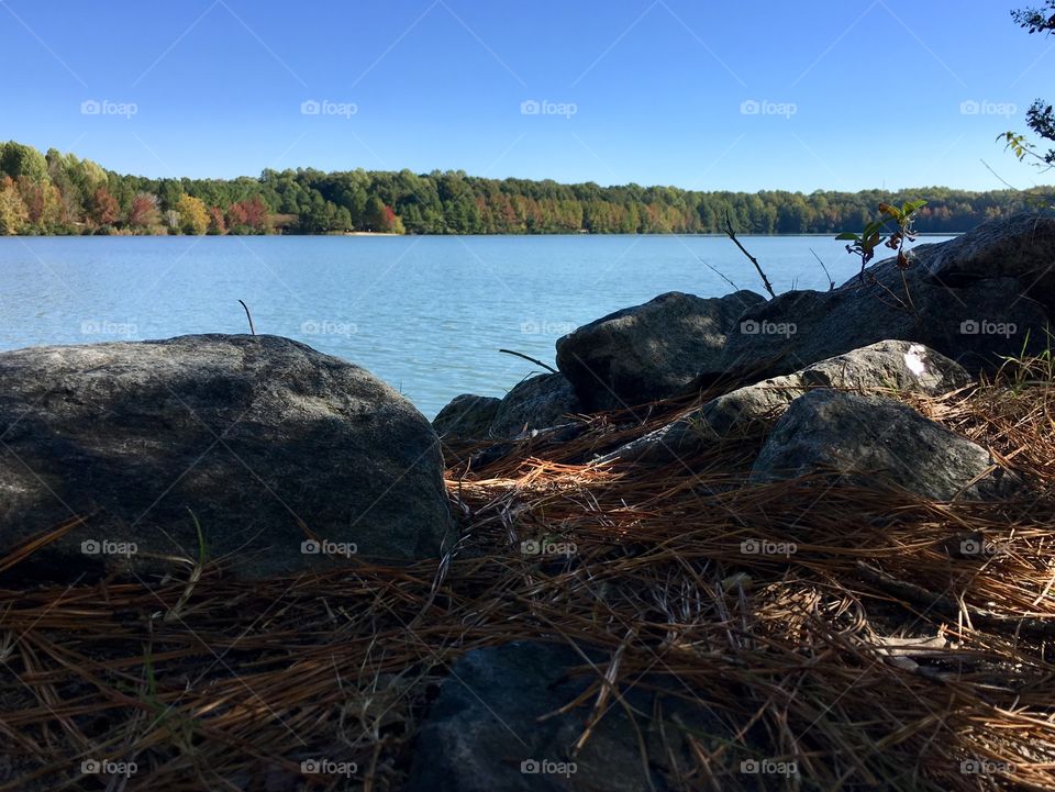 Rocks and pinestraw along the lake edge