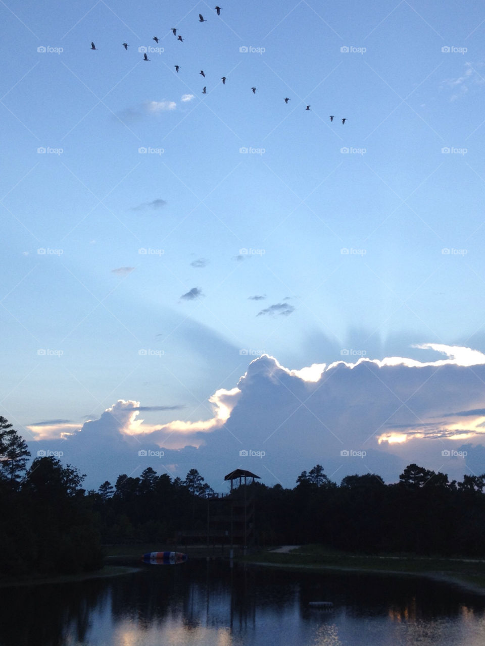 sky blue wood clouds by patrickhardy