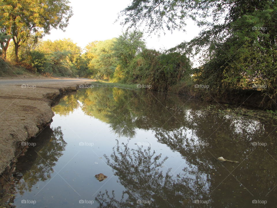 It looks great but it's po