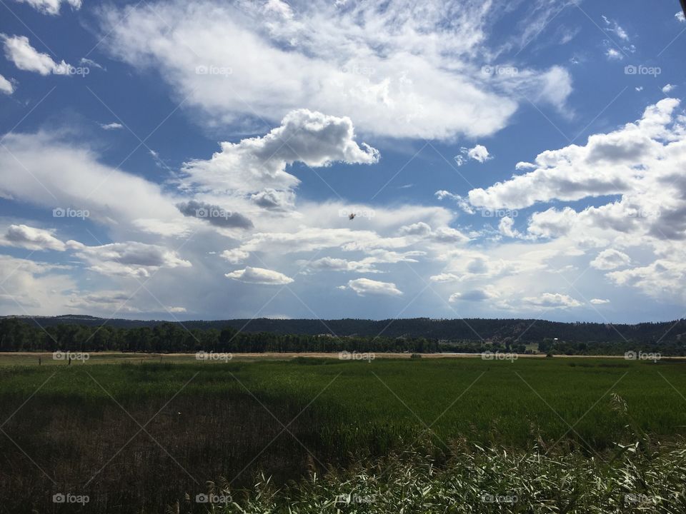 No Person, Landscape, Agriculture, Sky, Tree