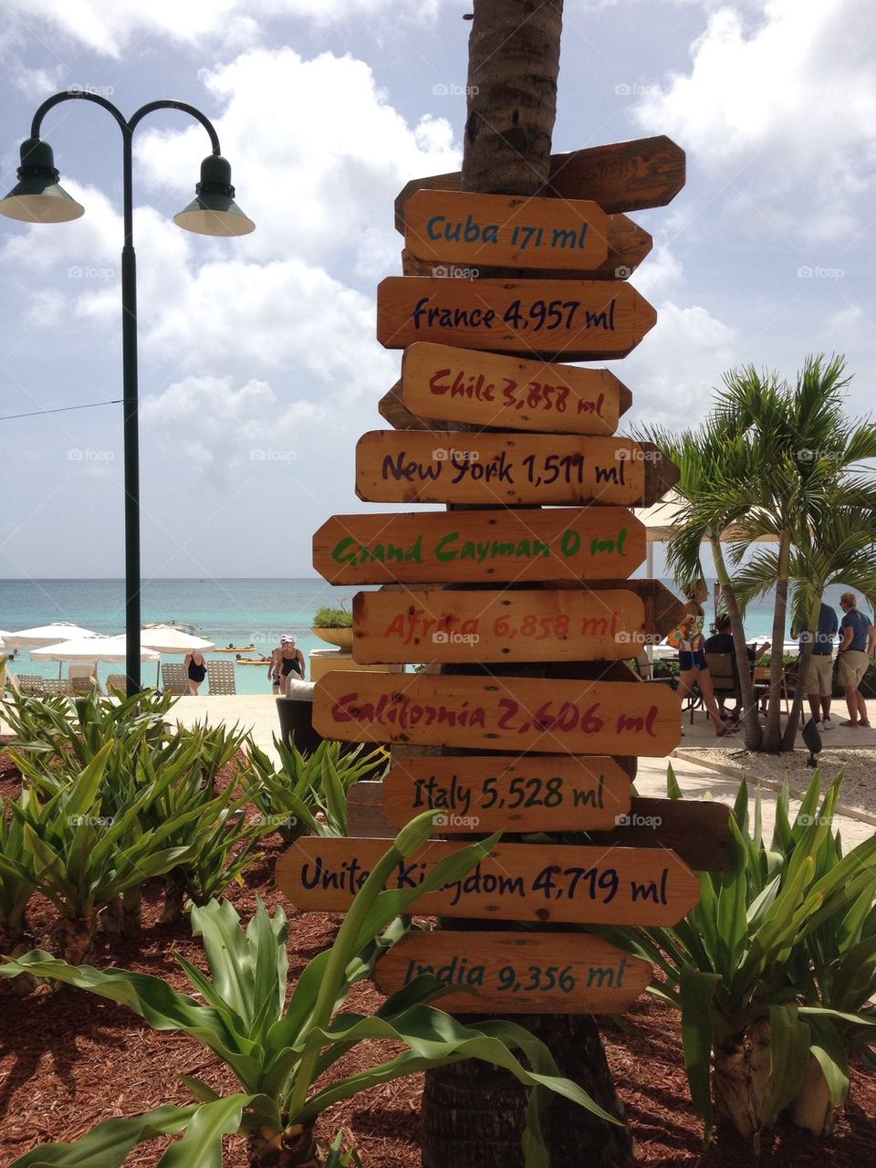 Which Way to Paradise?