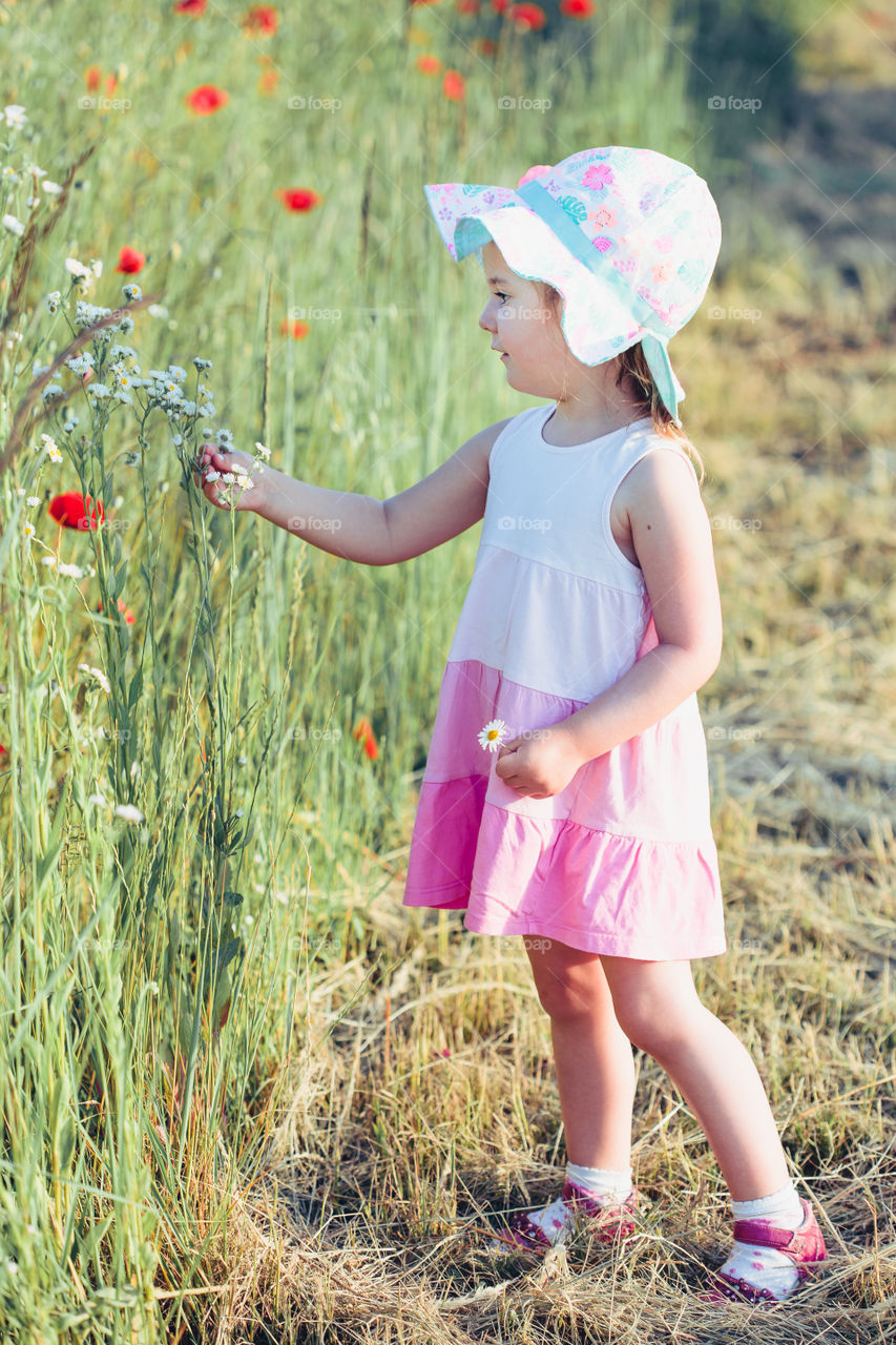 Lovely little girl in the field of wild flowers. Cute girl picking the spring flowers for her mom for Mother's Day in the meadow. Spending time close to nature