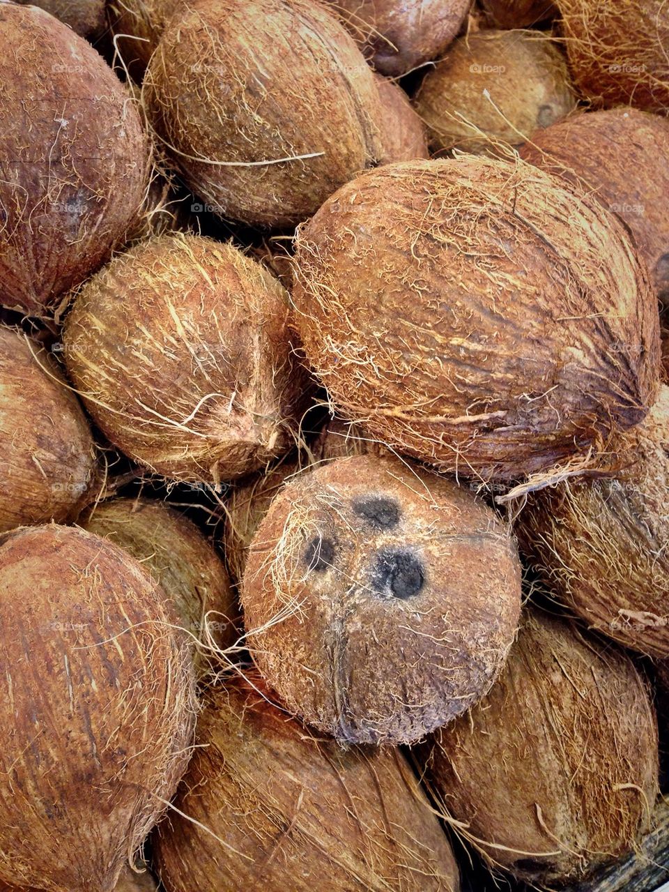 Coconuts