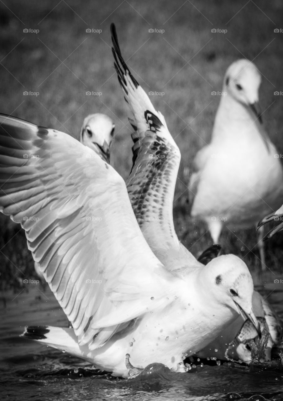 The perfect catch 🙂