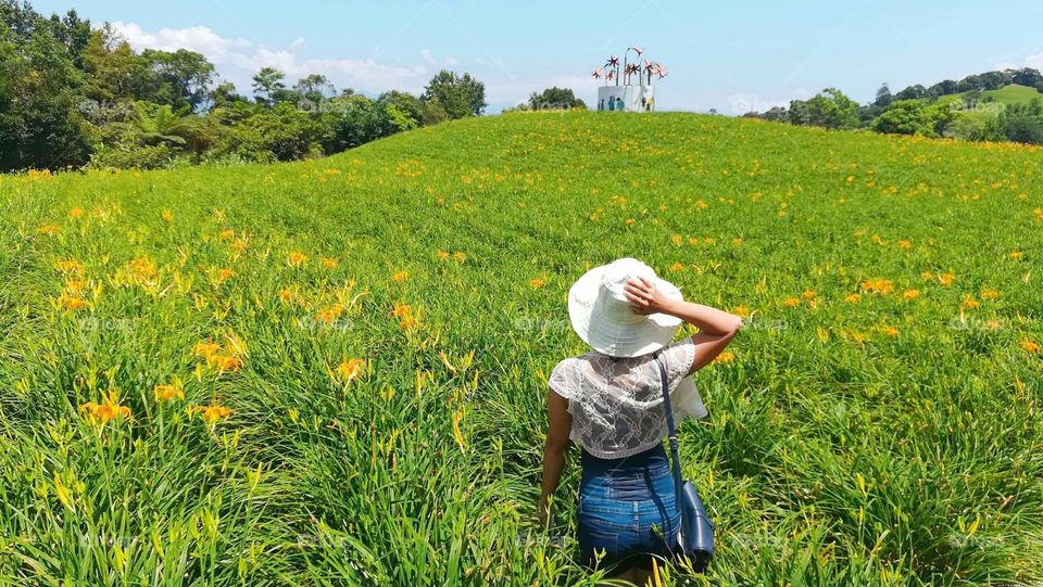 a beautiful flower farm.
