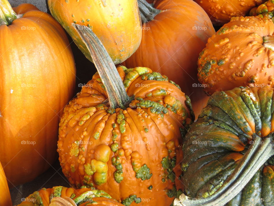 Close-up of a pumpkins