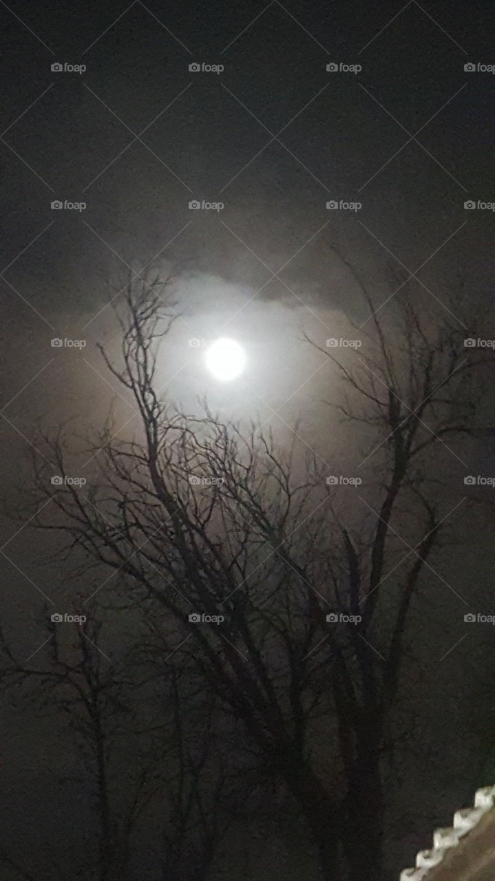foggy moon