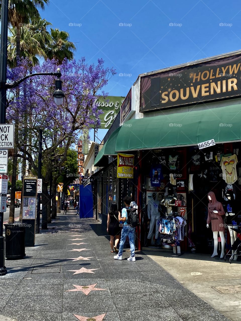 Hollywood Walk of Fame at Hollywood Boulevard in Hollywood/Los Angeles California 