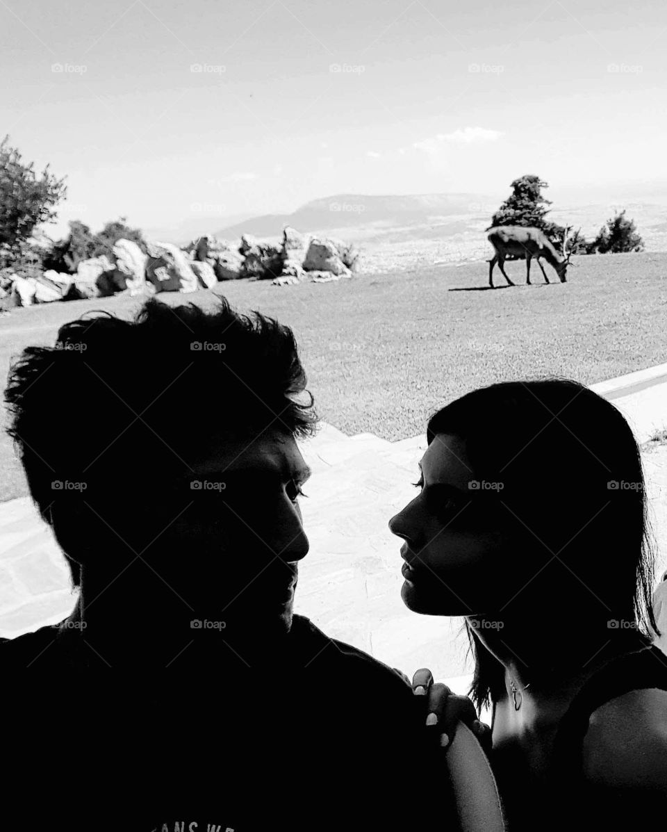 Love is all you need