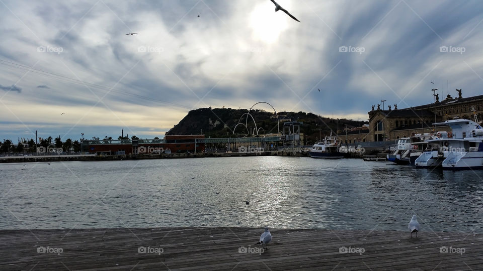 docks barcelona