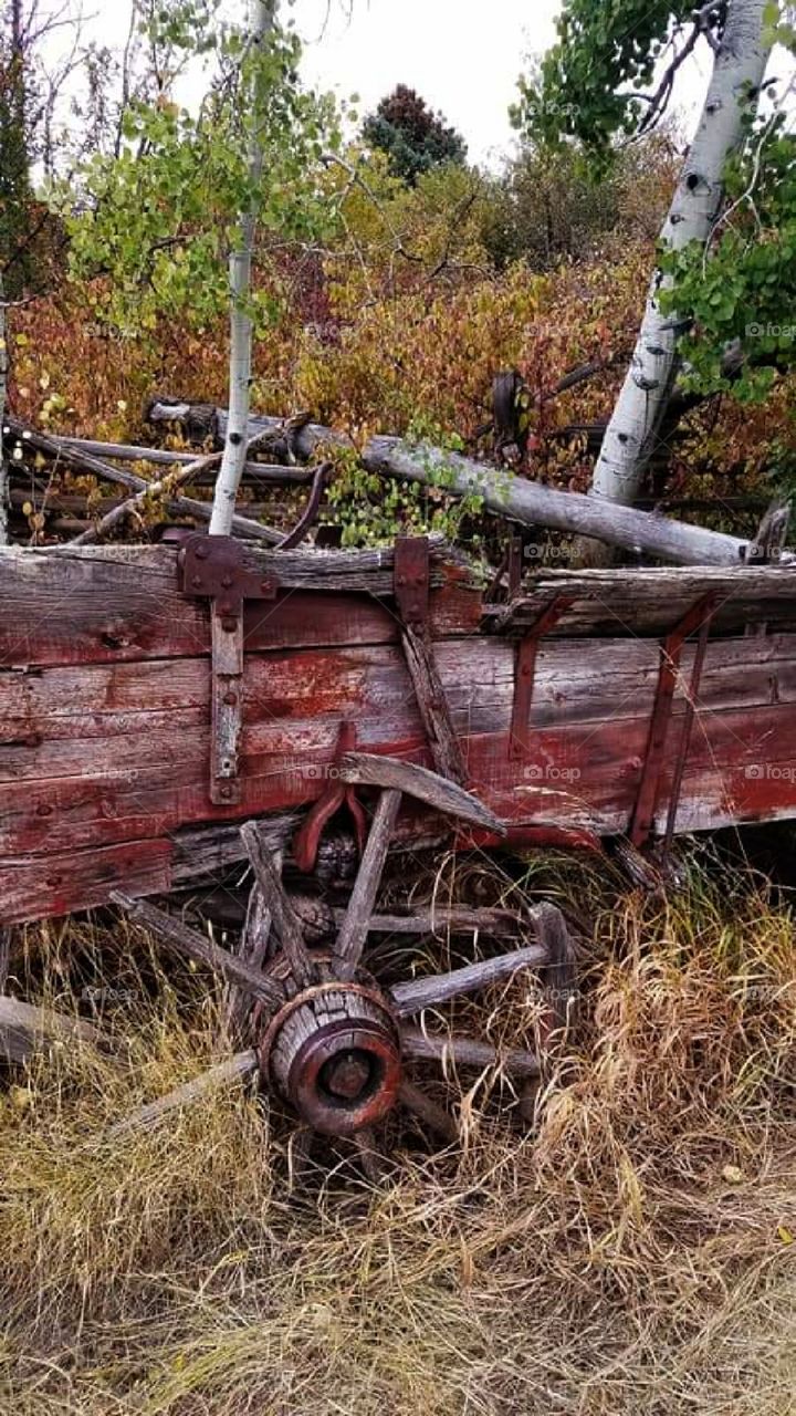Abandoned red wagon, rustic