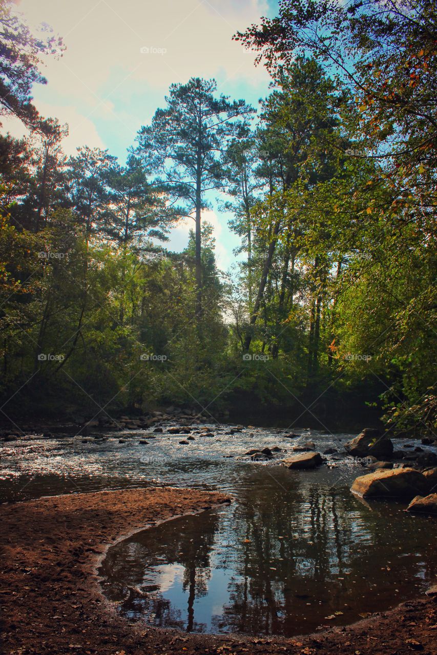 hiking into the woods..