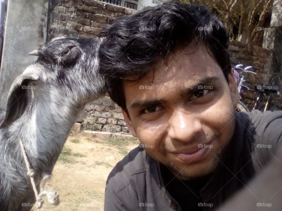cute goat eating my hairs