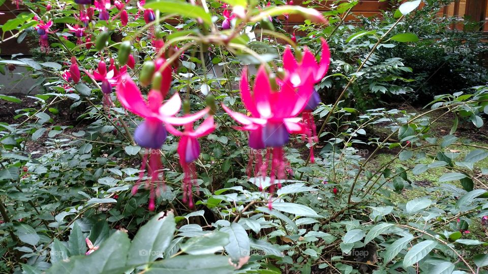 Find the beauty in all you see!