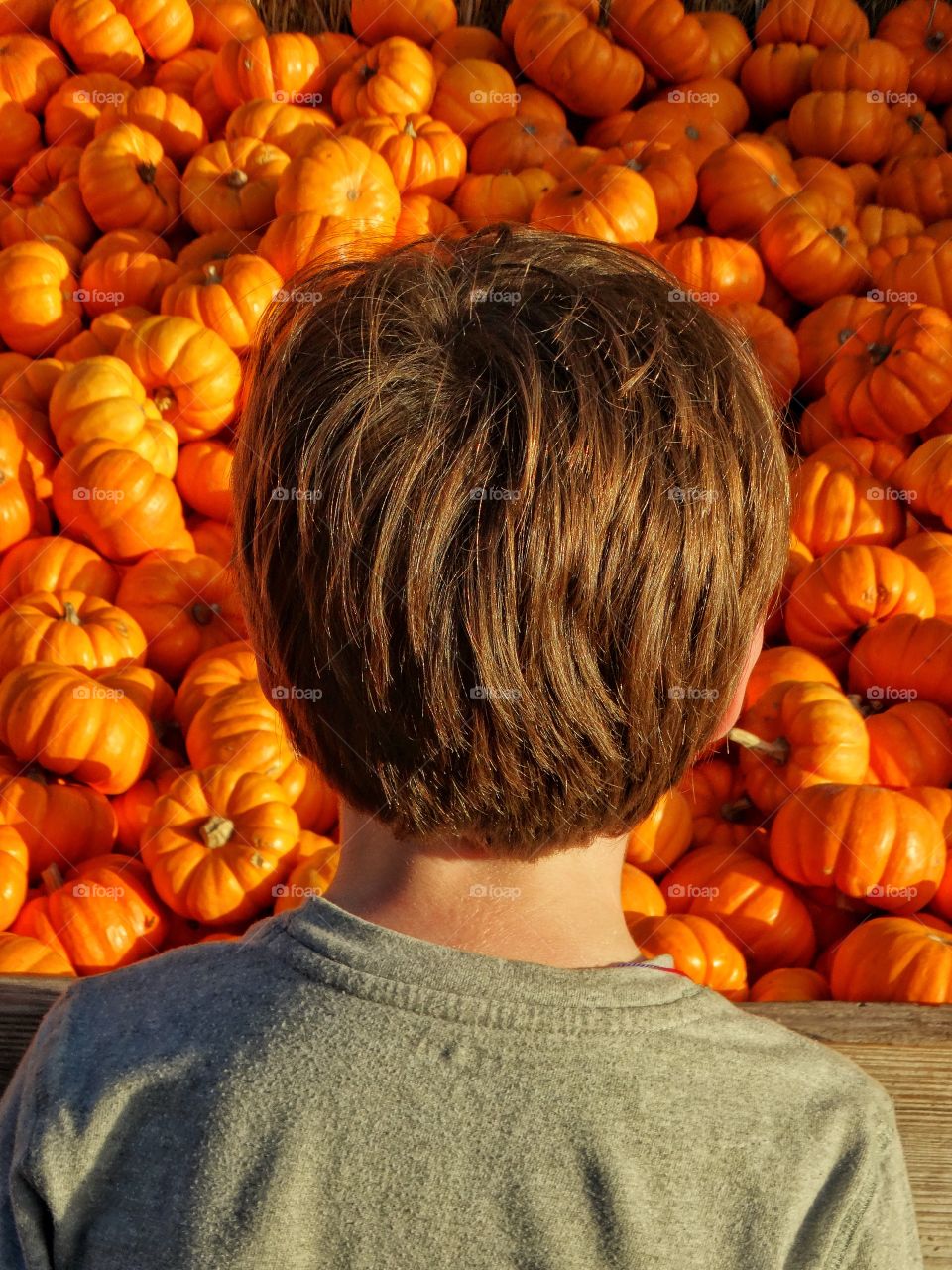 Boy At The Pumpkin Patch
